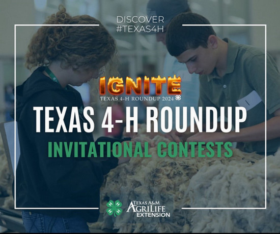 4-H-Roundup 